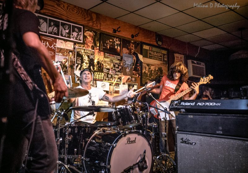 Chad Smith's Bombastic Meatbats - Meet The Meatbats Chad Smith's Bombastic Meatbats - Meet The Meatbats