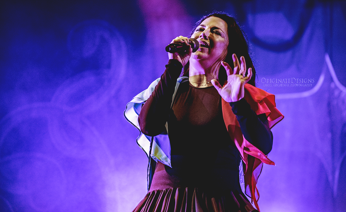 evanescence the chain